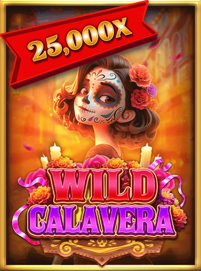 777c77 new game